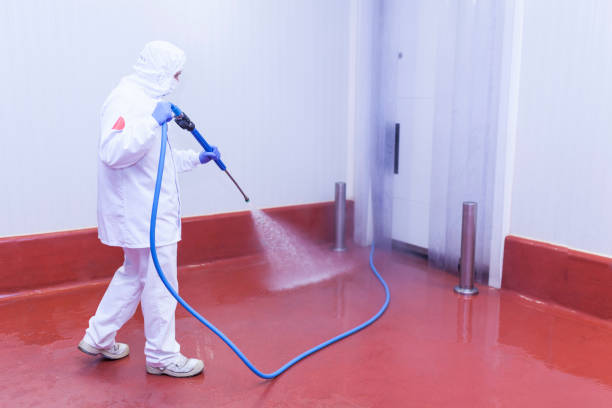 Trusted Moscow, ID Pressure Washing Services Experts